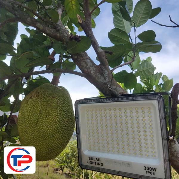 ĐÈN PHA MẮT NGỌC 300W 