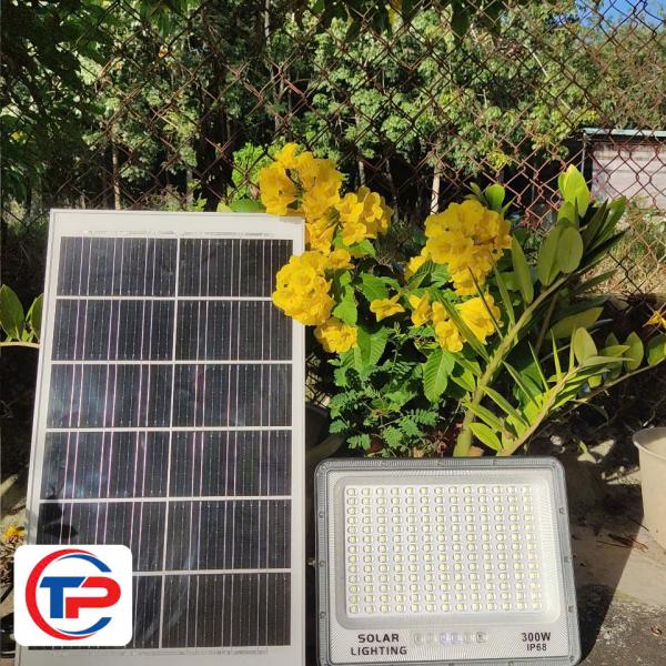 ĐÈN PHA MẮT NGỌC 300W 
