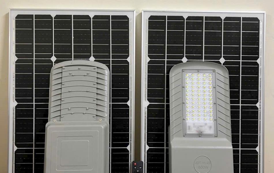ĐÈN CÔNG TRÌNH CHIM ƯNG 500W 