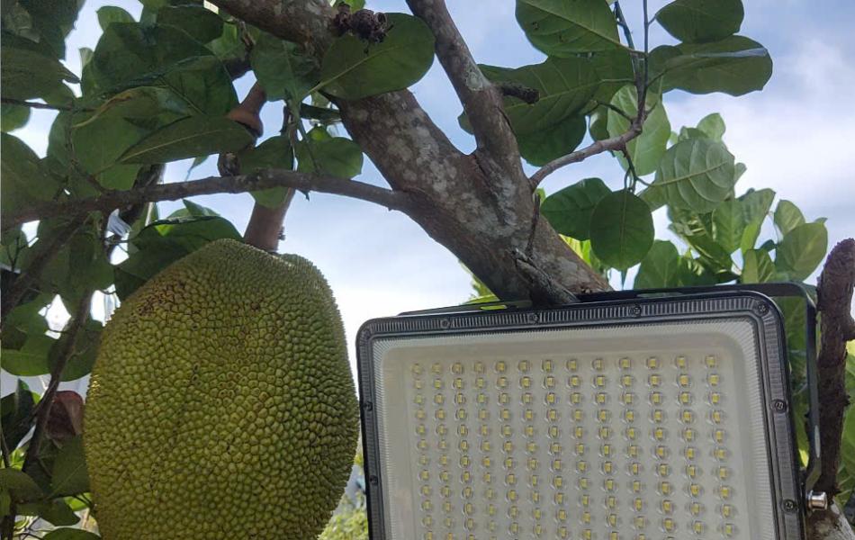 ĐÈN PHA MẮT NGỌC 300W 